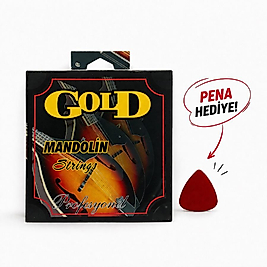 GOLD Mandolin Teli Karton Ambalaj