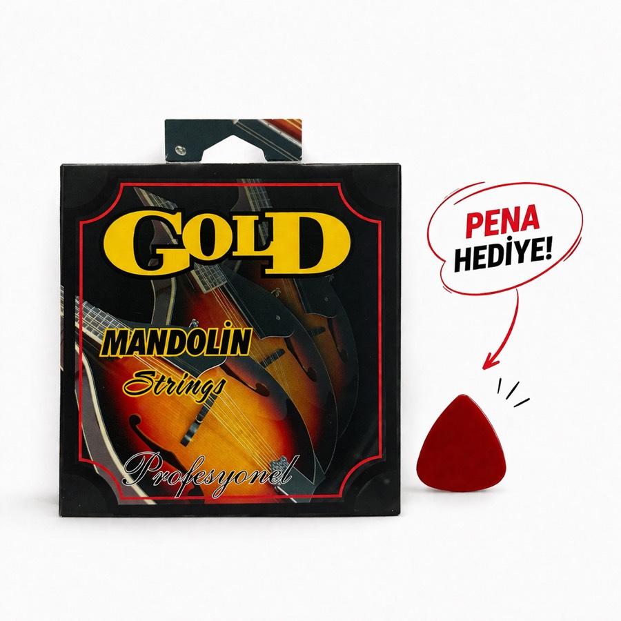 GOLD Mandolin Teli Karton Ambalaj