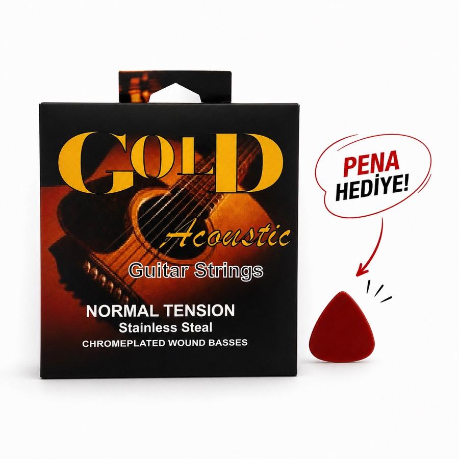 GOLD AKUSTİK GİTAR TELİ